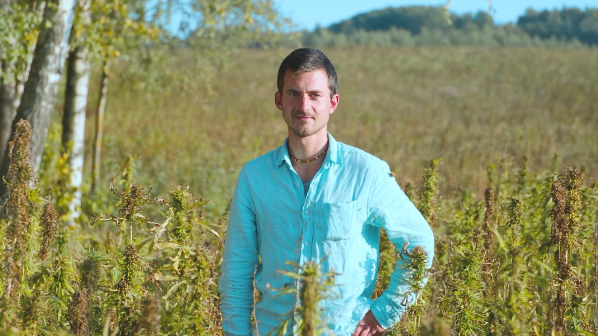 Molėtų verslininkas kanapių lauke.